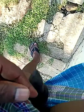 dolphiinn online show from 12, 4, 2026