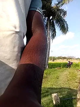 dolphiinn online show from 21, 4, 2026