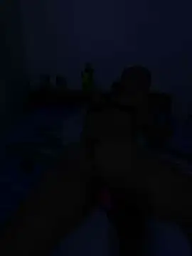 Snapshot of DALEX65 chatting on 17, 12, 2025 DALEX65 online show from 17, 12, 2025