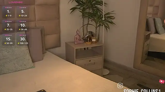SophieCollins 1 online show from 2, 7, 2026