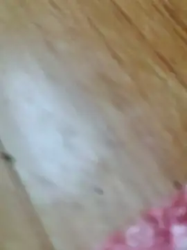 Markroco696 online show from 18, 10, 2025