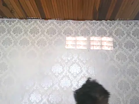 Snapshot of leandro477 chatting on 13, 9, 2025 leandro477 online show from 13, 9, 2025