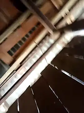 Ngocmi909 online show from 22, 3, 2026