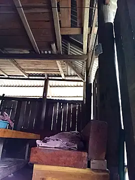 Ngocmi909 online show from 26, 3, 2026