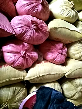 Sa2mh20 online show from 17, 12, 2025