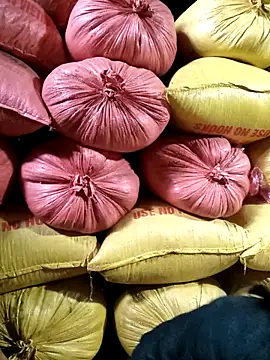 Sa2mh20 online show from 11, 2, 2026