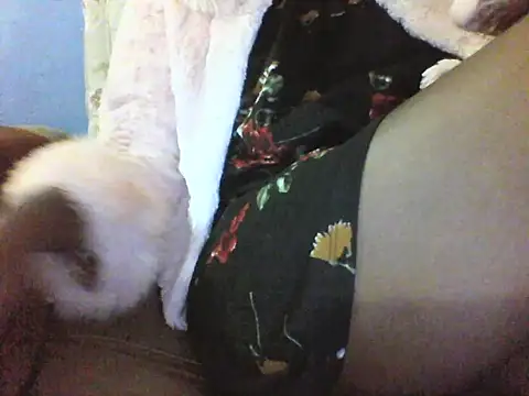 Moongodessy online show from 12, 3, 2026