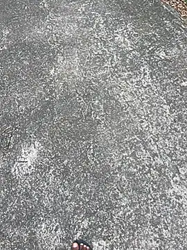 Senurak99 online show from 16, 11, 2025