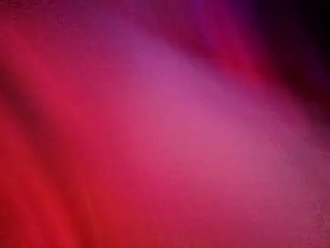 Snapshot of divine_stefani chatting on 2, 5, 2026 divine stefani online show from 2, 5, 2026