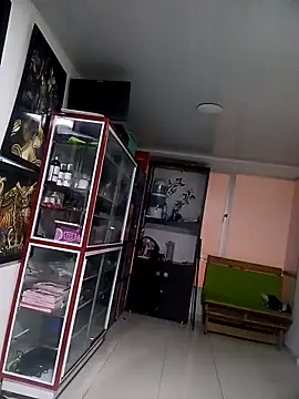 snow belle online show from 11, 9, 2025