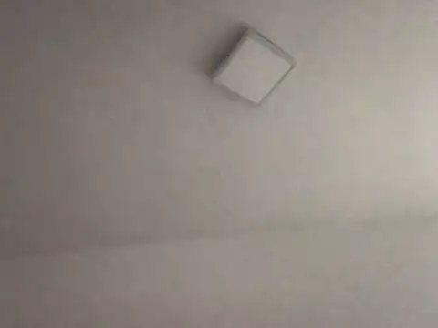 Snapshot of alegriadodia chatting on 8, 10, 2025 alegriadodia online show from 8, 10, 2025