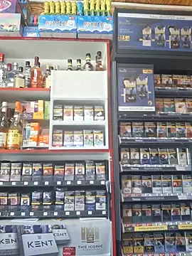 Snapshot of Fluturas2 chatting on 9, 9, 2025 Fluturas2 online show from 9, 9, 2025