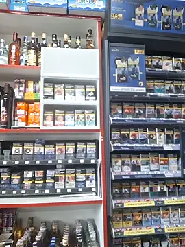 Snapshot of Fluturas2 chatting on 9, 10, 2025 Fluturas2 online show from 9, 10, 2025