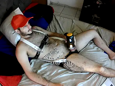 Dolfinhorb online show from 4, 5, 2026