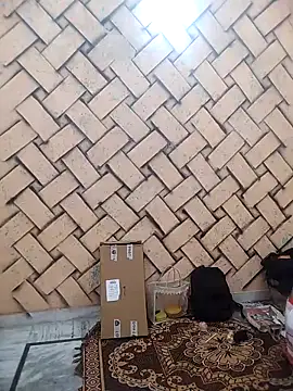 meenu bhabhi547 online show from 25, 2, 2026