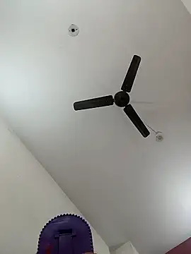 Appypie online show from 11, 1, 2026