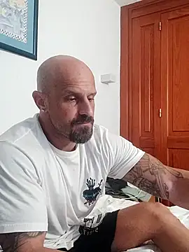 Visto36 online show from 7, 7, 2026