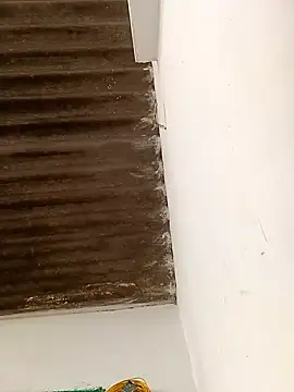 Sapna9685 online show from 15, 11, 2025