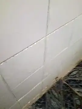 kelvinjesus34 online show from 19, 10, 2025