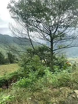 Snapshot of O_o_UwU_o_O chatting on 6, 11, 2025 O o UwU o O online show from 6, 11, 2025