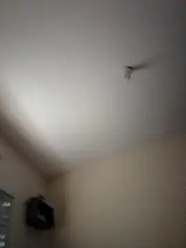 Psvsecreto online show from 6, 11, 2025