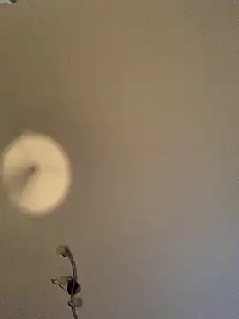 Snapshot of GeilerHSVFAN1989 chatting on 11, 11, 2025 GeilerHSVFAN1989 online show from 11, 11, 2025