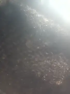 Snapshot of Hot_era chatting on 8, 1, 2026 Hot era online show from 8, 1, 2026