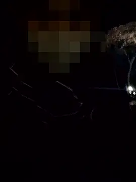 thcn12345 online show from 3, 12, 2025