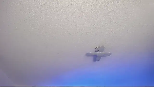  Charlotte Collins  online show from 9, 2, 2026