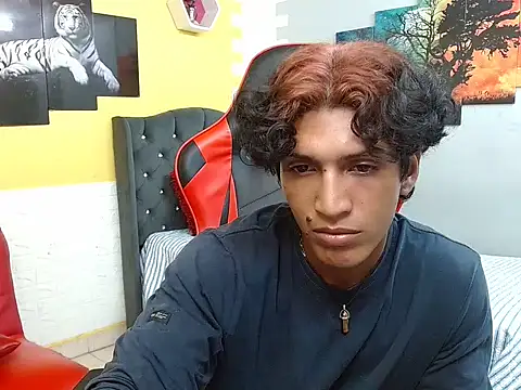 bull cam online show from 19, 12, 2025