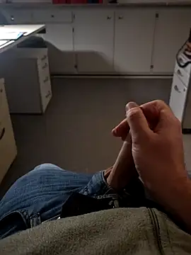 stunning stallion online show from 30, 3, 2026