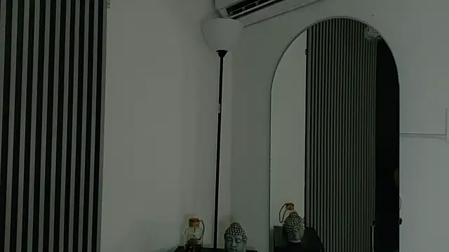 Snapshot of _Gaaia_ chatting on 8, 2, 2026 Gaaia online show from 8, 2, 2026