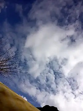 tcm-cute online show from 23, 10, 2025