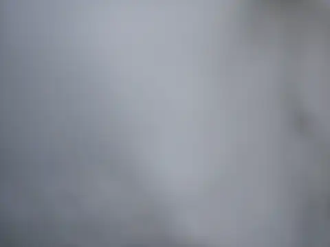 Ricotta1 online show from 22, 12, 2025