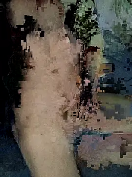 xxxxxcgbn online show from 5, 2, 2026