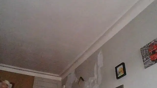 Titilouonlyf69 online show from 23, 7, 2026