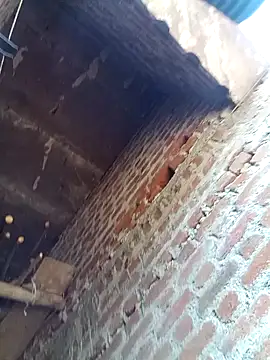 Xx pooja online show from 8, 2, 2026