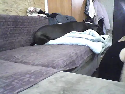 Milana38 online show from 7, 10, 2025