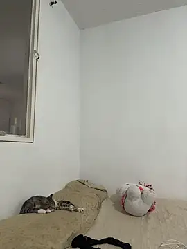 Snapshot of aliciia_23 chatting on 28, 11, 2025 aliciia 23 online show from 28, 11, 2025