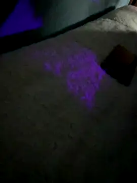 Snapshot of disvla chatting on 22, 11, 2025 disvla online show from 22, 11, 2025