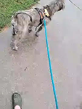 Snapshot of Unknownstepbrother chatting on 5, 10, 2025 Unknownstepbrother online show from 5, 10, 2025