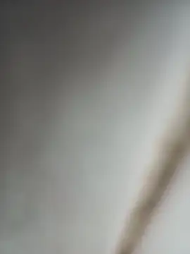 Jobson40 online show from 16, 10, 2025