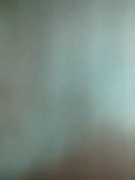 Novin23cms online show from 16, 1, 2026