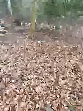 andymatthisbwc online show from 25, 2, 2026