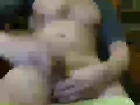 Snapshot of italian_max_sex chatting on 21, 11, 2025 italian max sex online show from 21, 11, 2025