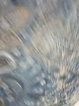 Snapshot of HAANNIAA chatting on 2, 12, 2025 HAANNIAA online show from 2, 12, 2025