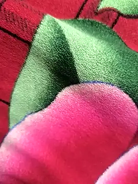 Family02 online show from 26, 11, 2025