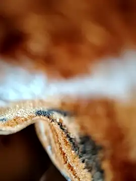 Hot lali 555 online show from 7, 1, 2026