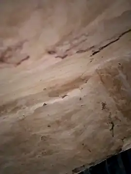 Sexy hot66 online show from 16, 9, 2025