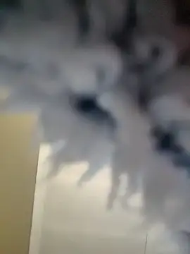 Snapshot of Cianda24 chatting on 14, 12, 2025 Cianda24 online show from 14, 12, 2025